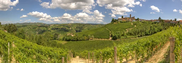 Vista panorâmica sobre vinhas e colinas na Itália . — Fotografia de Stock