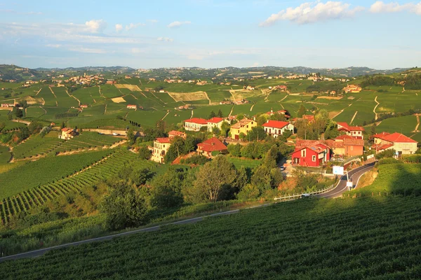 Uitzicht op wijngaarden in Noord-Italië. — Stockfoto