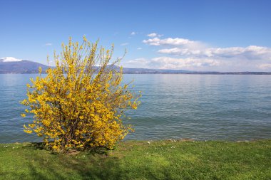 garda Gölü Kuzey İtalya görüntüleyin.