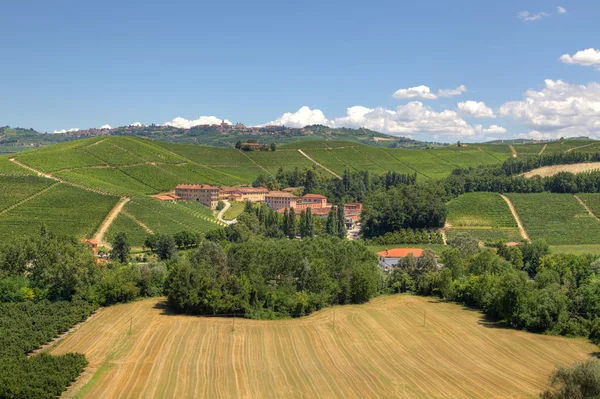 Wzgórza i winnice Piemontu, Włochy. — Zdjęcie stockowe