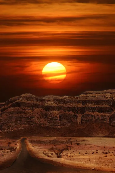 Solnedgang i ørkenen. – stockfoto