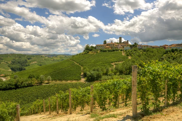 Kopců a vinic Piemont, Itálie. — Stock fotografie