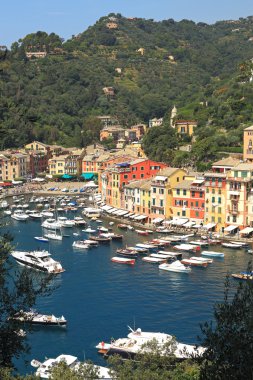 View on Portofino, Italy. clipart