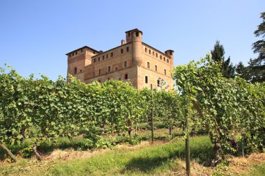 Vineyards and castle of Grinzane Cavour. clipart