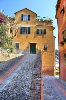 taş döşeli cadde ve çok renkli evler Portofino, İtalya.