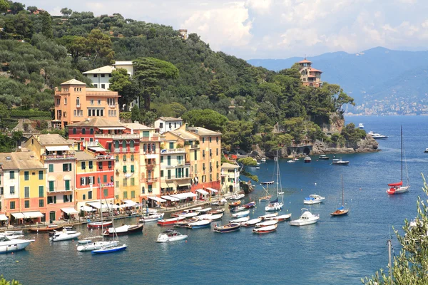 Portofino havadan görünümü. — Stok fotoğraf