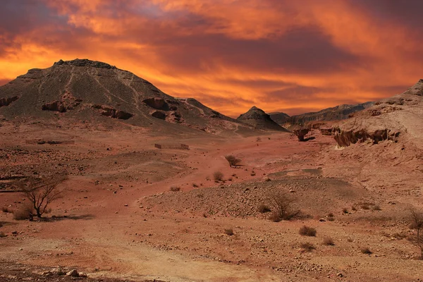 Sonnenuntergang in der Wüste. — Stockfoto