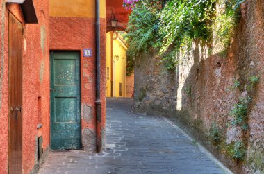 Narrow street among house and wall in Portofino. clipart