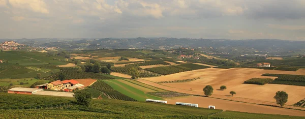 Panoráma a szőlőskertek és szántóföldek, Olaszország. — Stock Fotó