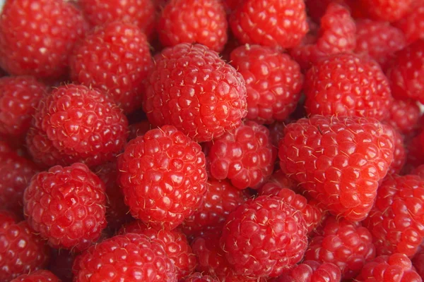 stock image Raspberries