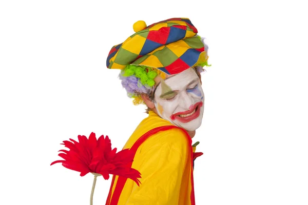 Барвистий клоун з квіткою — стокове фото