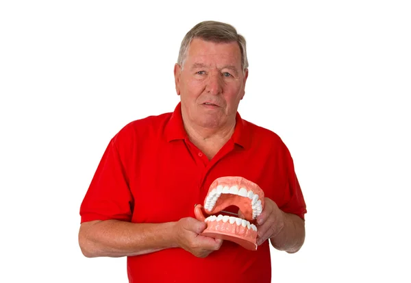 Senior with teeth model — Stock Photo, Image