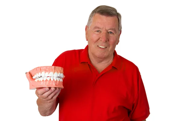 Senior with teeth model — Stock Photo, Image