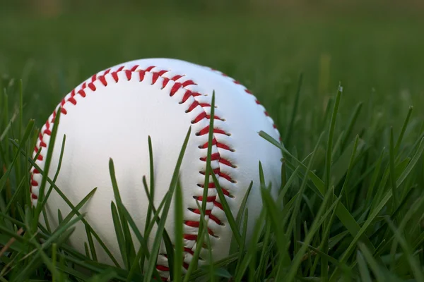 Baseball Sitting in Green Grass — Stock Photo, Image