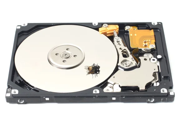 Dead Fly on an Open Hard Drive — Stock Photo, Image