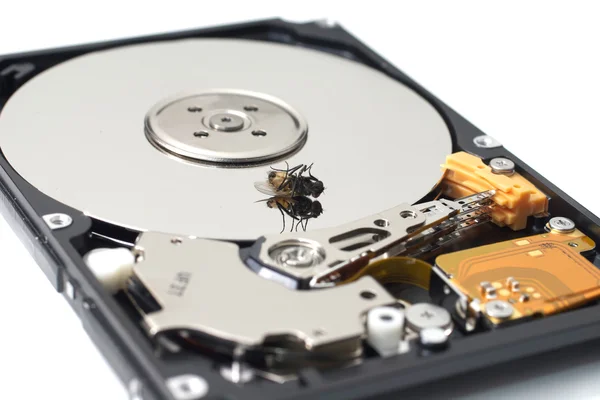 Dead Fly on a Disk Drive — Stock Photo, Image