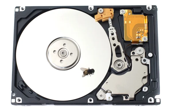 Dead Fly on a SATA Hard Drive Stock Image