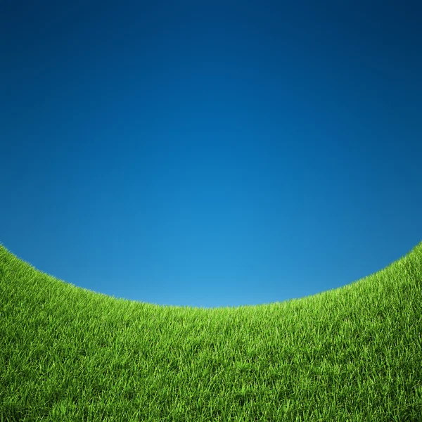 Grass with sky — Stock Photo, Image