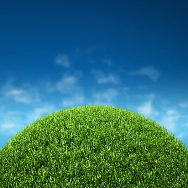 Gökyüzü çimen — Stok fotoğraf