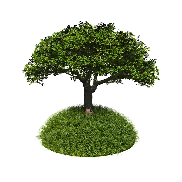 stock image Piece of land with tree