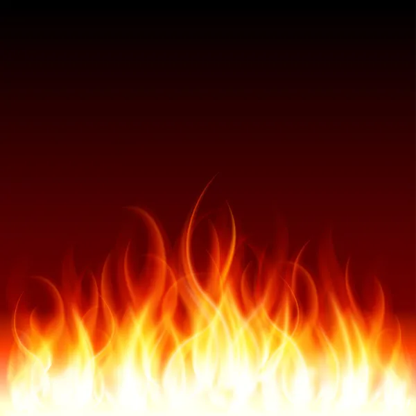 Burn flame fire — Stock Vector