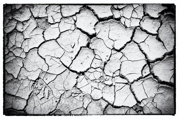 干からびたひび割れた大地 — ストック写真