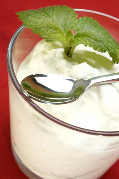 Yogur orgánico casero con un poco de menta de limón —  Fotos de Stock