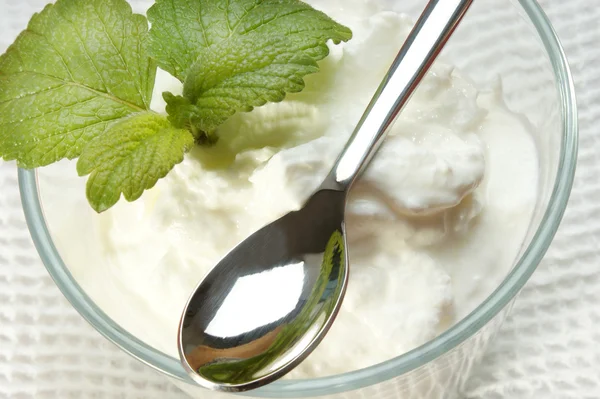 Yogurt biologico fatto in casa con menta al limone — Foto Stock