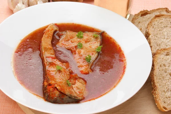 Bir porselen tabak lezzetli sazan balık çorbası — Stok fotoğraf