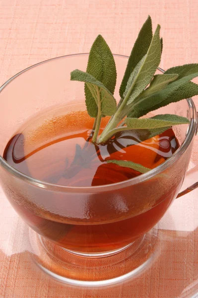 Chá de sálvia cozido na hora em uma xícara de vidro — Fotografia de Stock