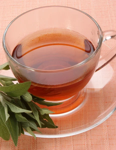 Świeżo ugotowane herbaty szałwi w filiżance szkła — Zdjęcie stockowe