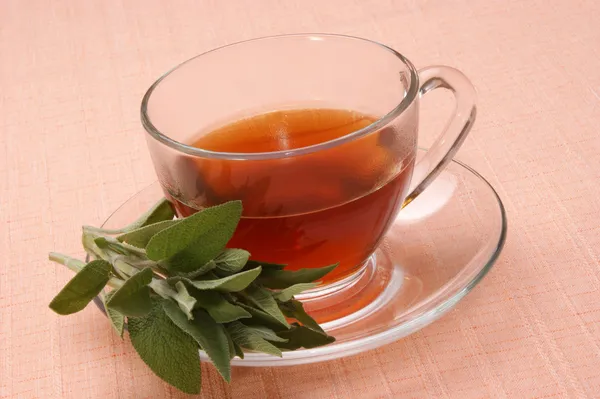 Świeżo ugotowane herbaty szałwi w filiżance szkła — Zdjęcie stockowe