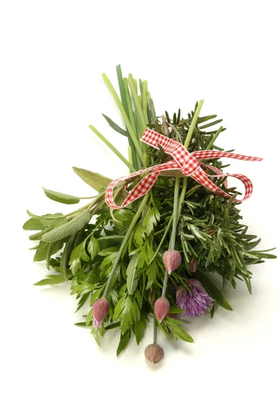 Freshly picked herbs on a bright background — Stock Photo, Image