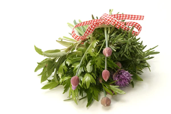 Freshly picked herbs on a bright background — Stock Photo, Image