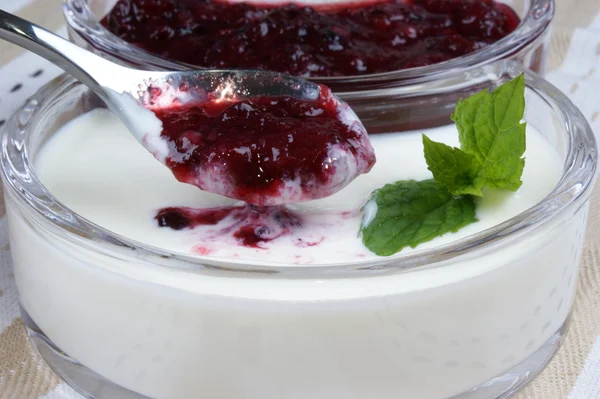 Органическое фруктовое желе с натуральным йогуртом и мятой — стоковое фото