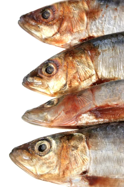 Some fresh organic sardine and white background — Stock Photo, Image