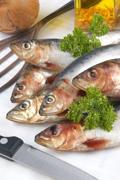Algumas sardinhas frescas antes de cozinhar como alimento — Fotografia de Stock