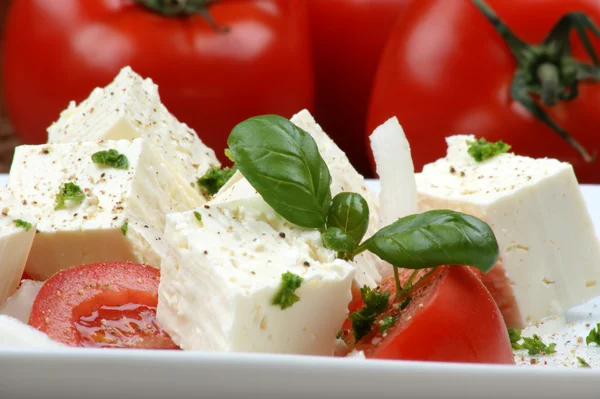 Greek goat cheese with tomato and basil — Stock Photo, Image