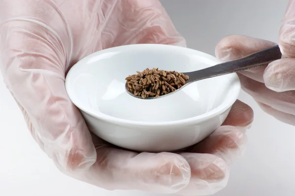 stock image Caraway is examined in a food laboratory