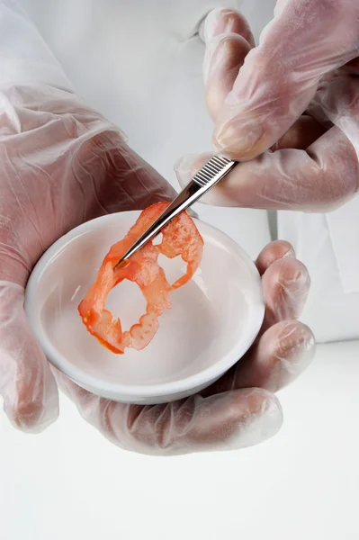 A tomato slice is examined in the food laboratory — Stock Photo, Image