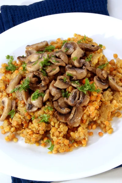 Fried mushrooms on red lentils and a white plate — Stock Photo, Image