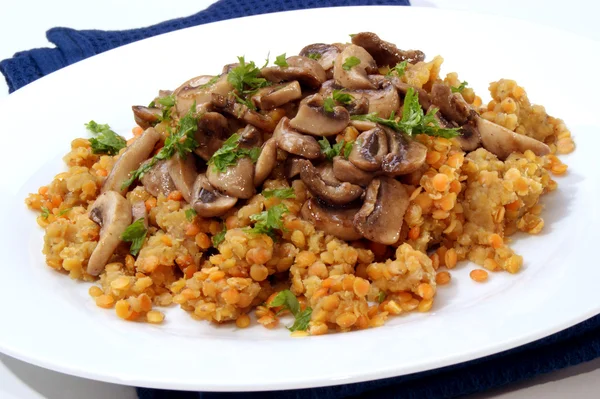 stock image Fried mushrooms on red lentils and a white plate