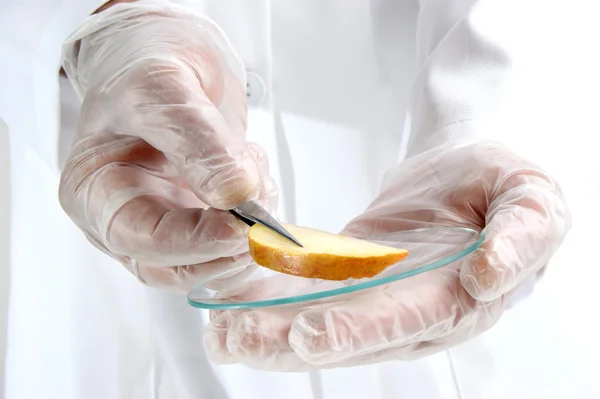 Um pedaço de maçã está sendo estudado no laboratório de alimentos — Fotografia de Stock