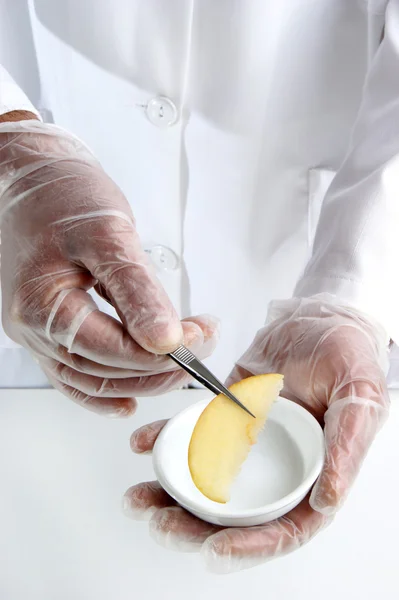 Один шматок яблука вивчається в харчовій лабораторії Стокове Зображення