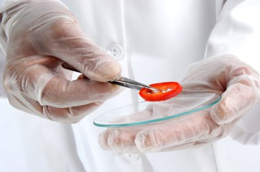 Paprika is investigated in the food laboratory clipart