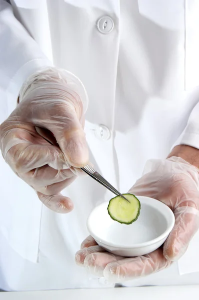 Jeden plasterek ogórka jest badane w laboratorium żywności — Zdjęcie stockowe