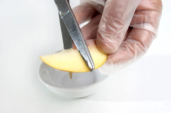 Один шматок яблука вивчається в харчовій лабораторії Ліцензійні Стокові Фото