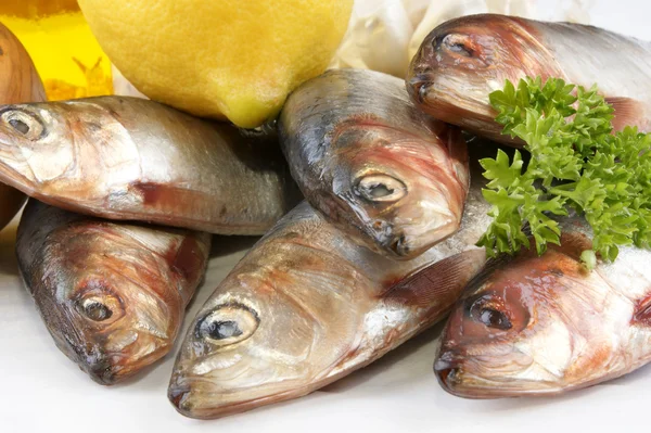 Algunas sardinas frescas antes de cocinar como alimento — Foto de Stock
