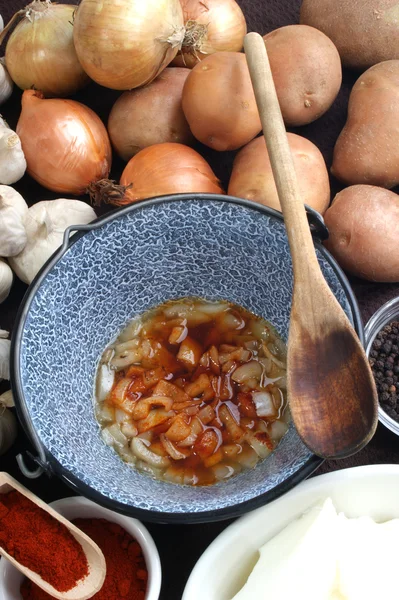 Gesmolten reuzel met uien en paprika poeder — Stockfoto