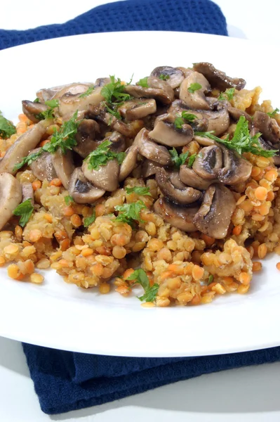 stock image Fried mushrooms on red lentils and a white plate